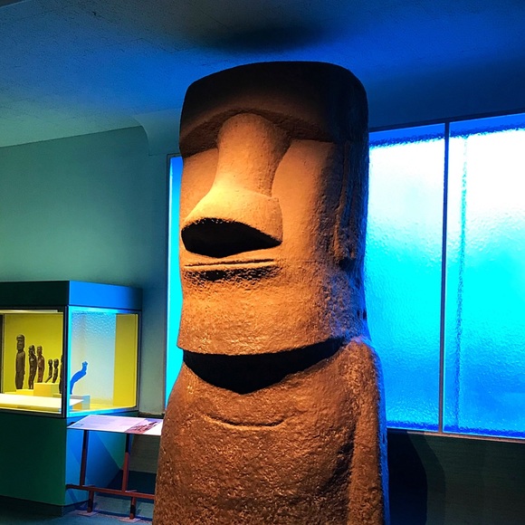 Meet your Posher, Arin - Picture 1 of 1